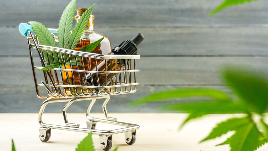 Personne consultant un comparatif CBD sur smartphone dans un salon lumineux